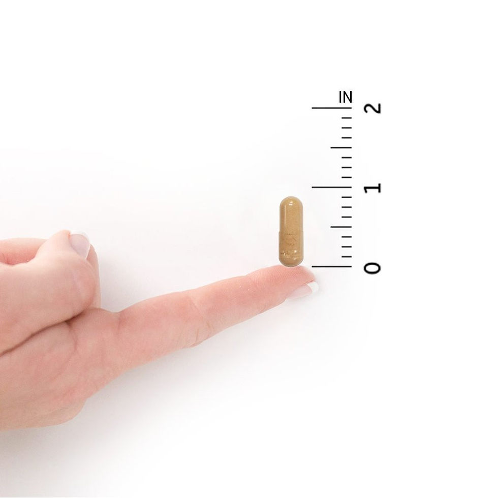 섬네일: 가든오브라이프 RAW 프로바이오틱스 여성케어 유산균 500억 / Garden of Life RAW Probiotics Vaginal