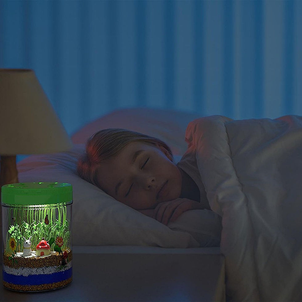 Thumbnail: Light-Up Terrarium Kit