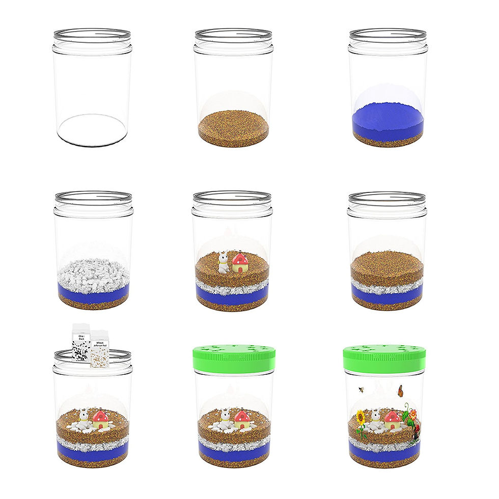 Thumbnail: Light-Up Terrarium Kit