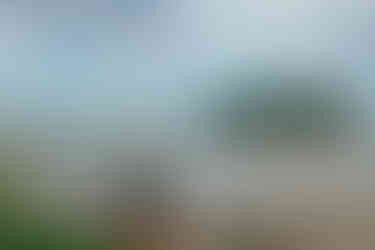 Nat enjoying the views at Split Rock Lighthouse State Park