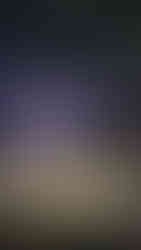 MN Timberwolves Game