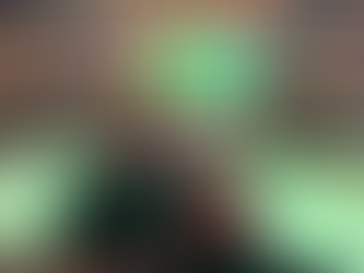 The Twin Cities in February~ It Was Snow Much Fun