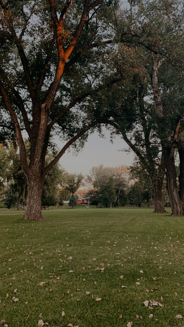 Herrmann Park