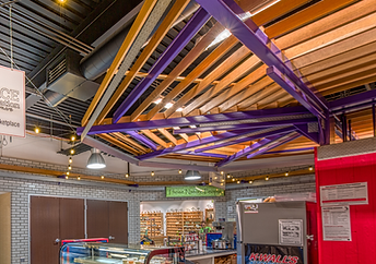 Link to Project Data