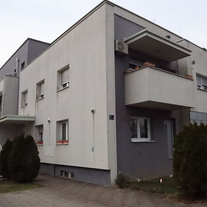 Projekt