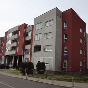 Projekt