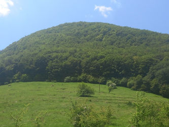 ИЗКАЧВАНЕ РЯДКО ДОСТИГАНИЯ ВРЪХ КОЛИБИЩЕТО, НАД СЕЛО БОВ В ЗАПАДНА СТАРА ПЛАНИНА24  ЯНУАРИ  /Събота/  2026г