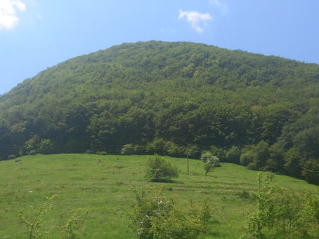 ИЗКАЧВАНЕ РЯДКО ДОСТИГАНИЯ ВРЪХ КОЛИБИЩЕТО, НАД СЕЛО БОВ В ЗАПАДНА СТАРА ПЛАНИНА24 ЯНУАРИ /Събота/ 2026г