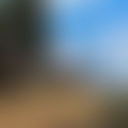 ИЗКАЧВАНЕ ОБГЛЕДНИЯ ВРЪХ ЕЛИН /1546м/ НАД ВЕЛИНГРАД
18  АПРИЛ  /Събота/  2026г