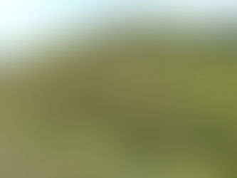 ИЗКАЧВАНЕ ЛЕГЕНДАРНИЯ СТАРОПЛАНИНСКИ ВРЪХ МУРГАШ + ПЪРВЕНЕЦА НА СОФИЙСКА ПЛАНИНА – ВРЪХ ГОТЕН
14  ЮНИ  /Неделя/  2026г