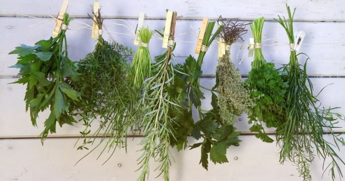 FAIRE SECHER DES HERBES