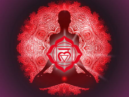 LE CHAKRA RACINE