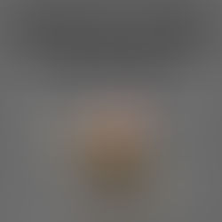 Projeto prevê a inclusão da população em situação de rua no IBGE