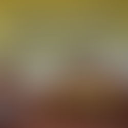 Projeto de Lei institui política de proteção aos animais atingidos por desastre ambiental