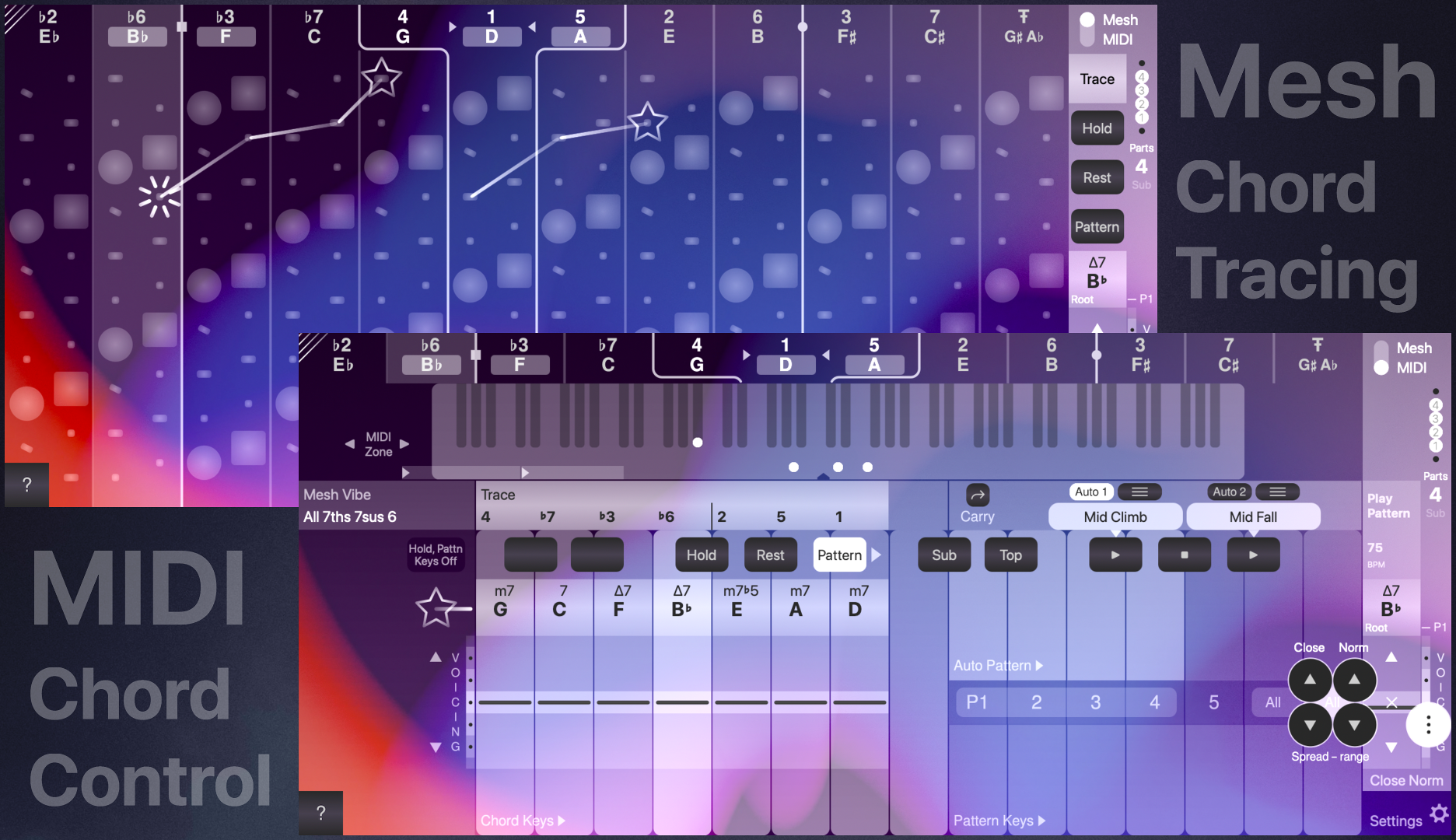 ChordAXE Mesh 檢視與 MIDI 檢視畫面