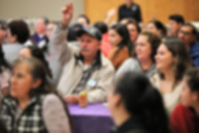 PHOTO 2 - Parent raising hand.jpeg