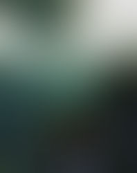 Aquarium couples photoshoot