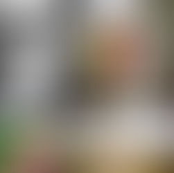 Stephanie McBee Photography - Callie Ray 2018 Senior