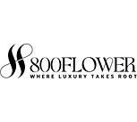 View 800 Flower Deals