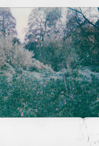 IMG_6172.JPEG