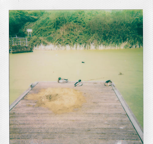 IMG_6021.JPEG