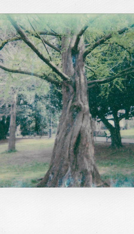 IMG_6041.jpeg