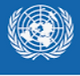UNDP.png