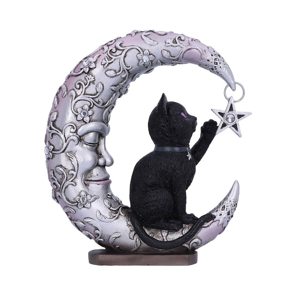 Miniatura: Moon Cat