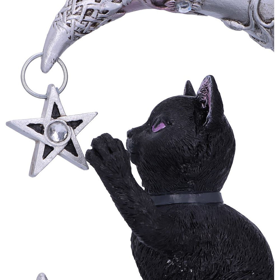Miniatura: Moon Cat