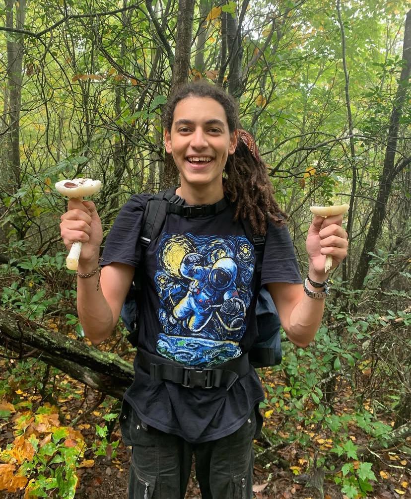 Writer: Mohamed Elgallad