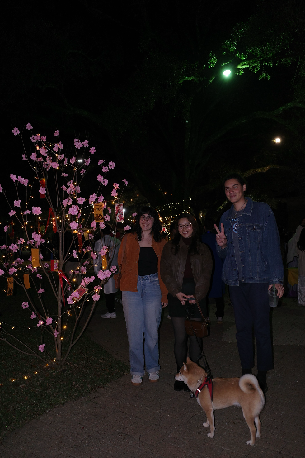 Lunar New Year
