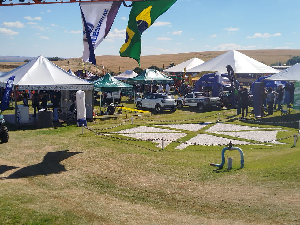 WhatsApp Image 2025-08-20 at 14.45.45.jpeg