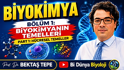 kapak görseli-part 1.png