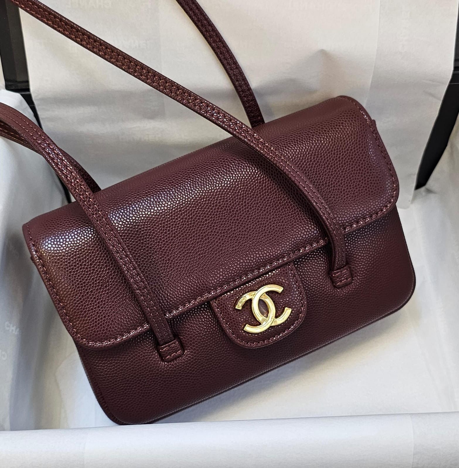Chanel Preppy CC Flap Bag