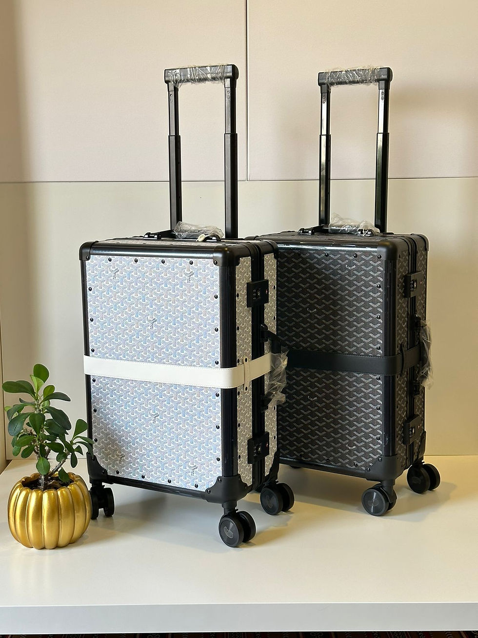 الصورة المصغرة: Goyard Suitcase