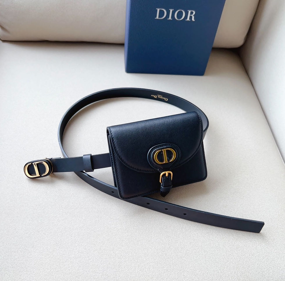 الصورة المصغرة: Dior Belt Bag 