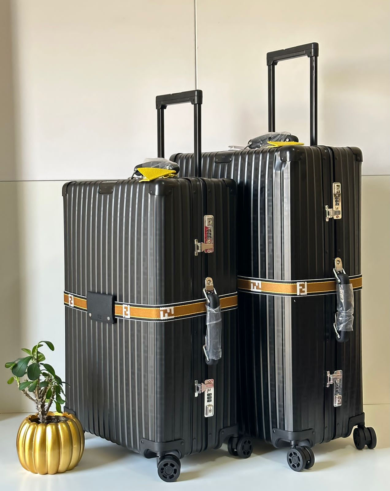 Rimowa Fendi Luggage Bag
