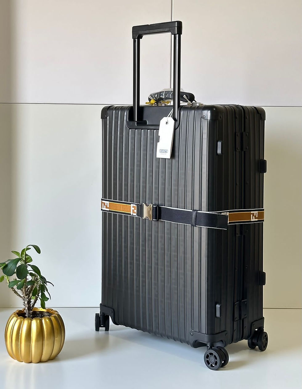 الصورة المصغرة: Rimowa Fendi Luggage Bag
