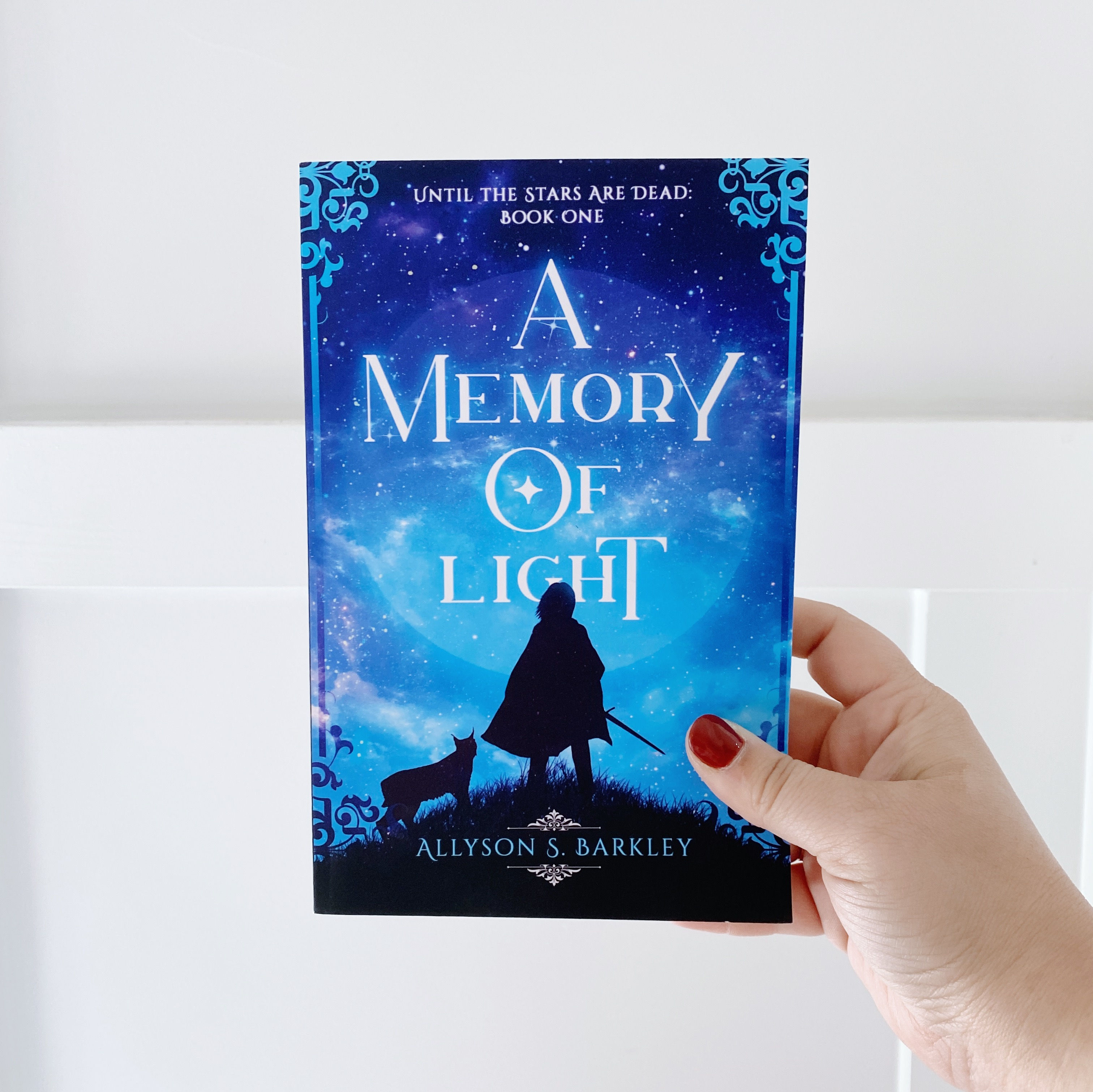 A Memory of Light by Allyson Barkley