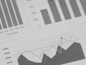 A document with multiple data visualisations
