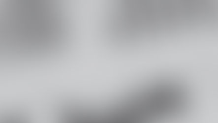 A document with multiple data visualisations