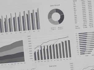 Printed pages of graphs, bar charts, and other data