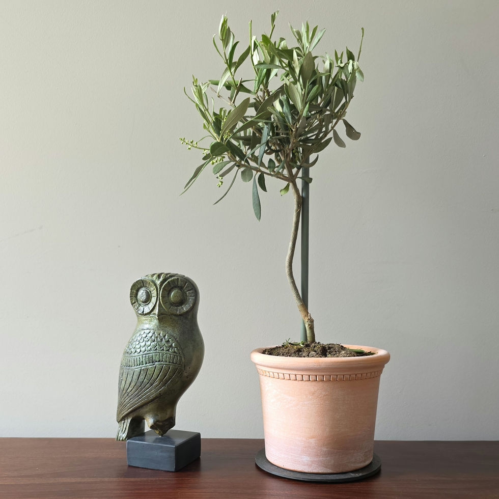 large bronze pensive owl of Athens