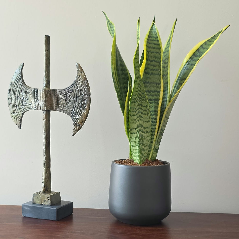 Thumbnail: large bronze labrys double axe