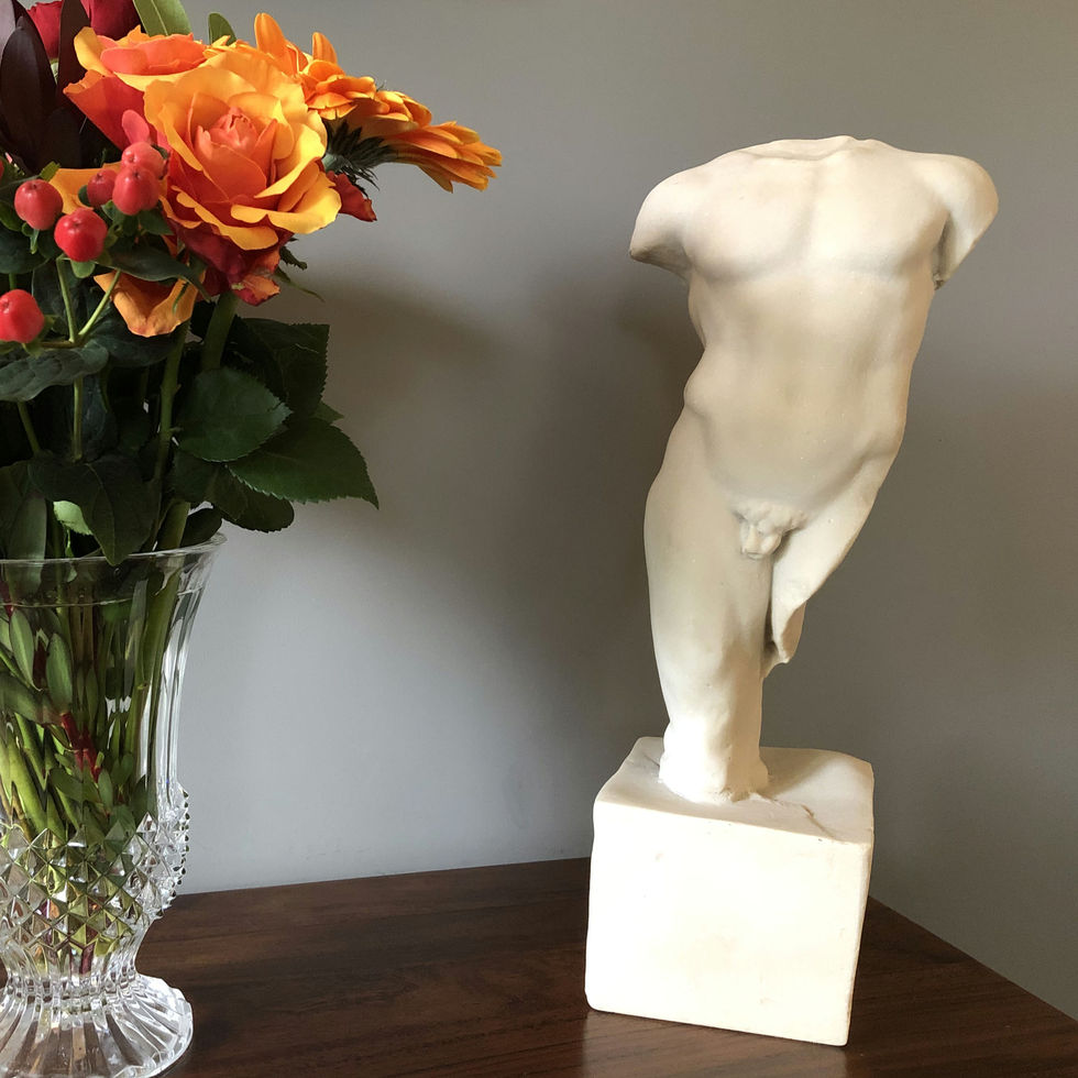 male torso