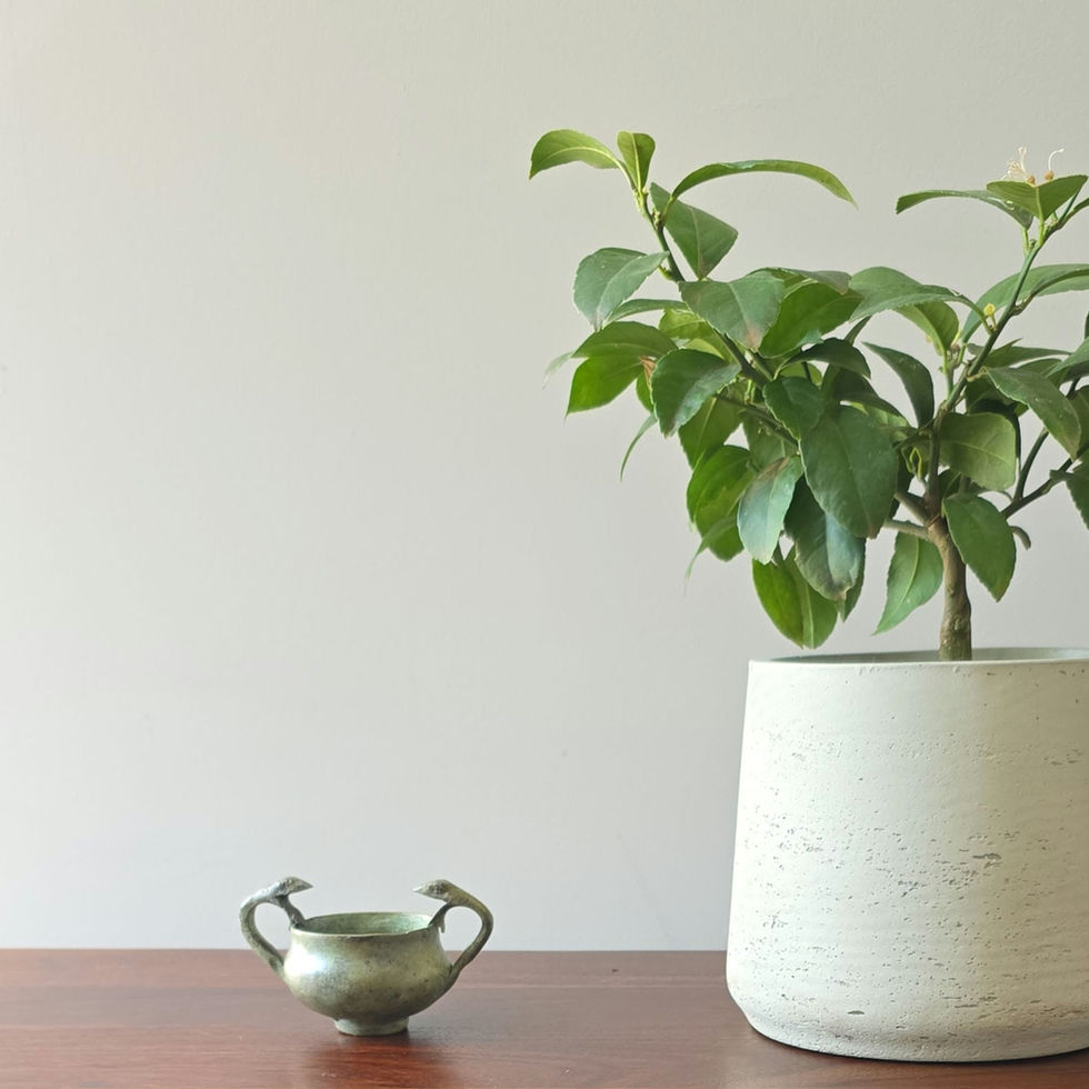 bronze kantharos with serpent handles