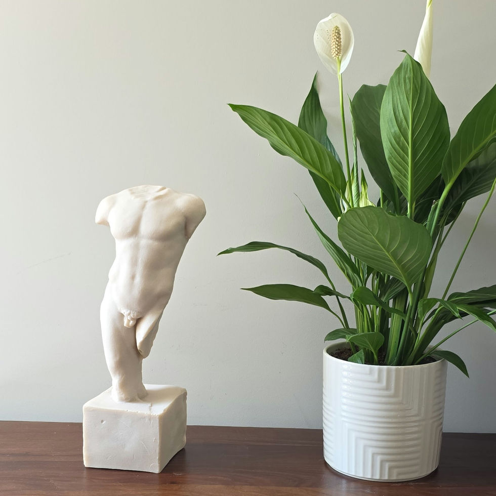 male torso