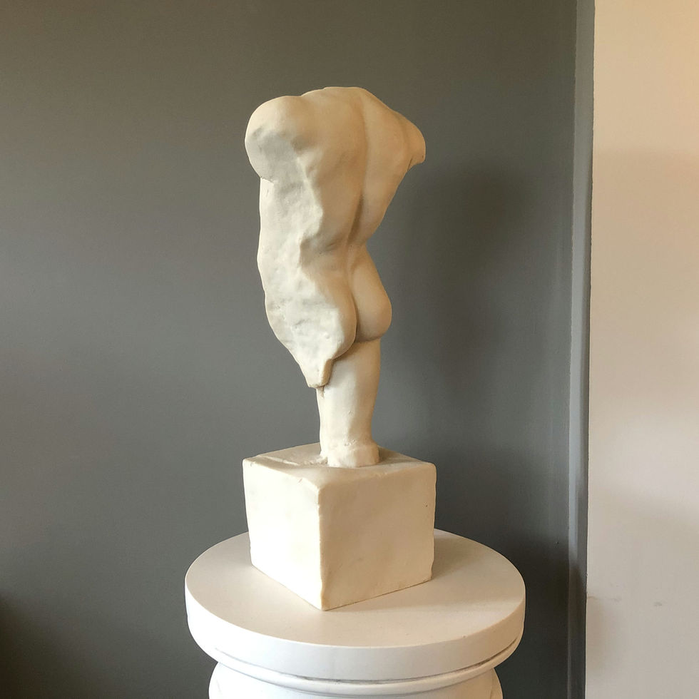male torso