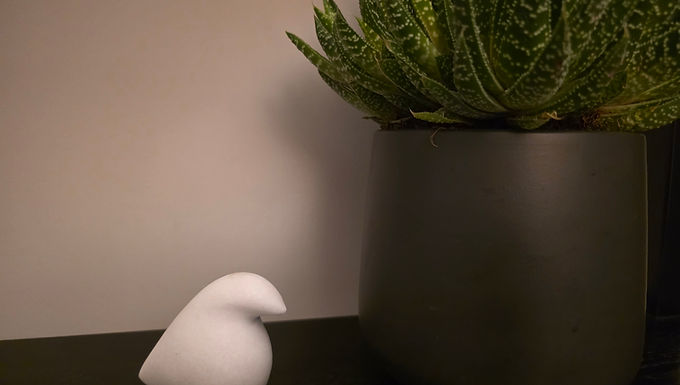 mini marble dove