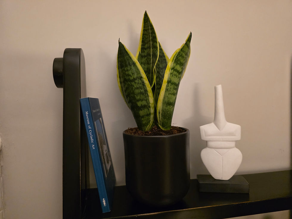 Thumbnail: marble Cycladic violos figurine